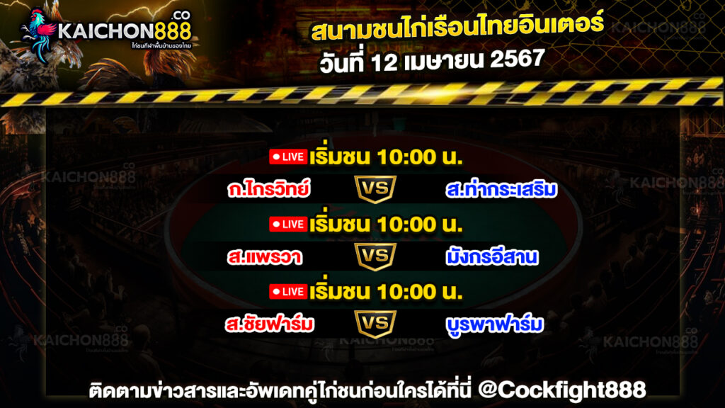 โปรแกรมไก่ชน สนามชนไก่เรือนไทยอินเตอร์ วันที่ 12 เม.ย. 67