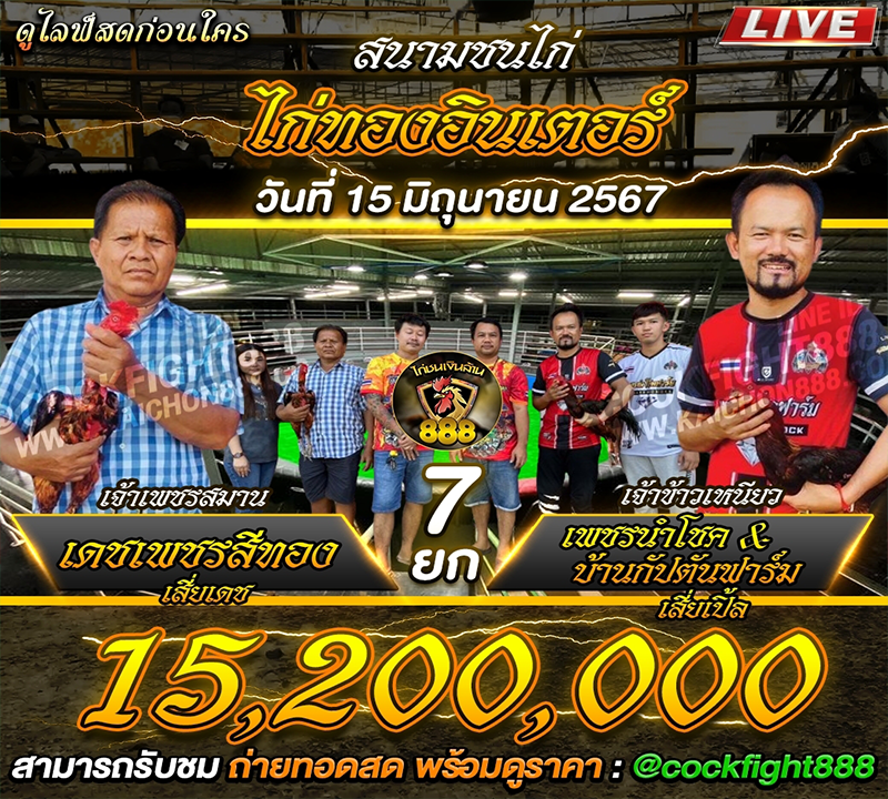 โปรแกรมไก่ชน สนามชนไก่ทองอินเตอร์ วันที่ 15 มิ.ย. 67