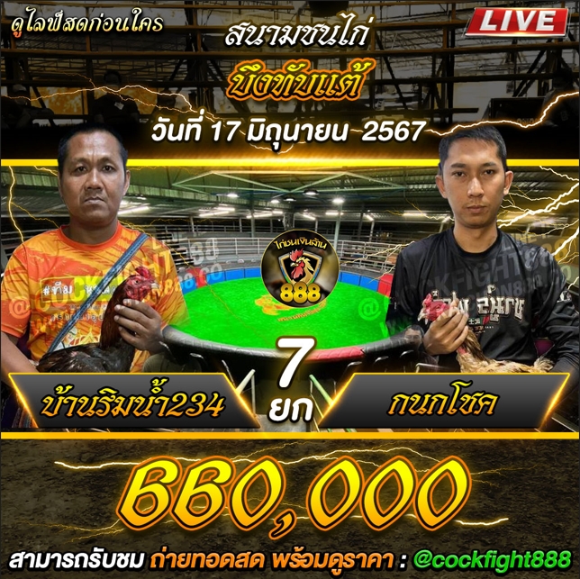 โปรแกรมไก่ชน สนามชนไก่บึงทับแต้ วันที่ 17 มิ.ย. 67