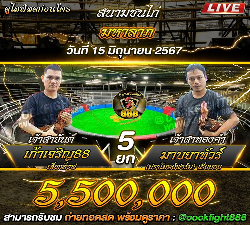 โปรแกรมไก่ชน สนามชนไก่มหาลาภ วันที่ 15 มิ.ย. 67