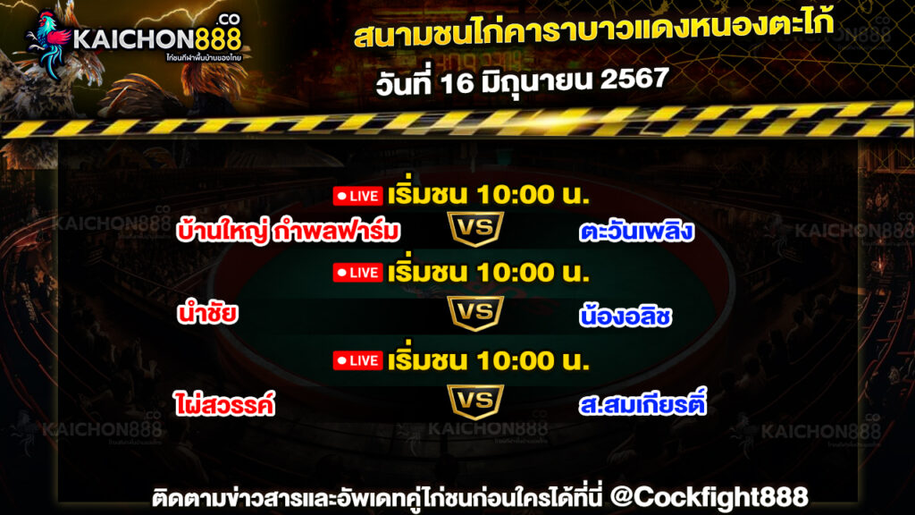 โปรแกรมไก่ชน สนามชนไก่คาราบาวแดงหนองตะไก้ วันที่ 16 มิ.ย. 67