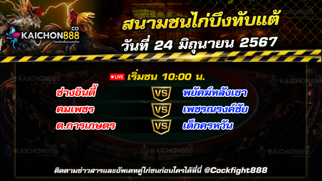 โปรแกรมไก่ชน สนามชนไก่บึงทับแต้ วันที่ 24 มิ.ย. 67