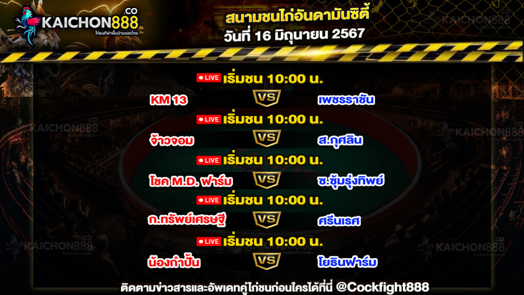 โปรแกรมไก่ชน สนามชนไก่อันดามันซิตี้ วันที่ 16 มิ.ย. 67