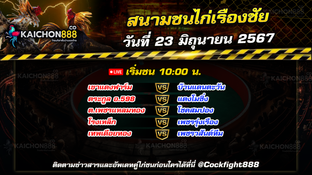 โปรแกรมไก่ชน สนามชนไก่เรืองชัย วันที่ 23 มิ.ย. 67