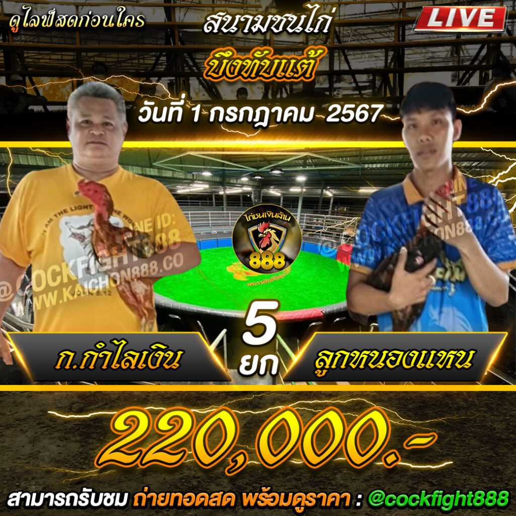 โปรแกรมไก่ชน สนามชนไก่บึงทับแต้ วันที่ 01 ก.ค. 67