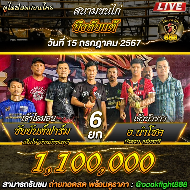 โปรแกรมไก่ชน สนามชนไก่บึงทับแต้ วันที่ 15 ก.ค. 67