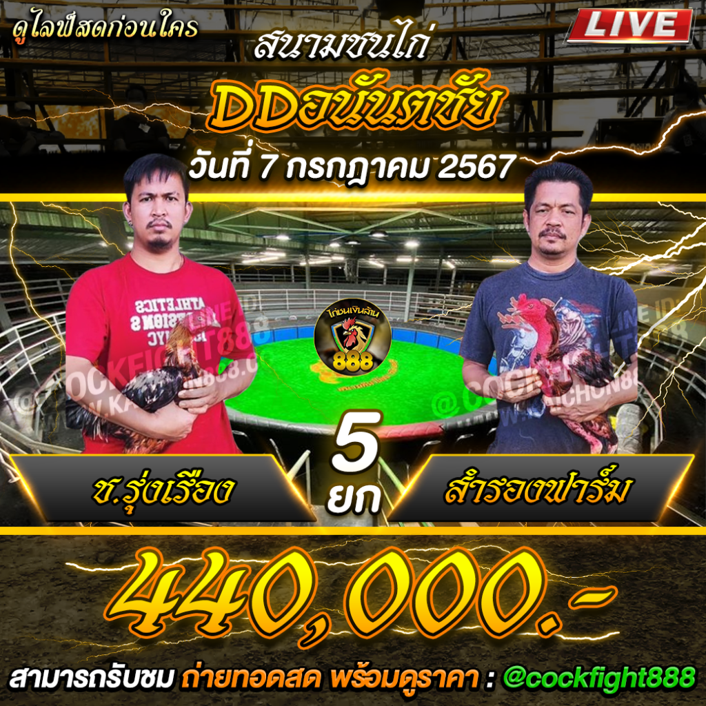 โปรแกรมไก่ชน สนามชนไก่DDอนันตชัย วันที่ 07 ก.ค. 67