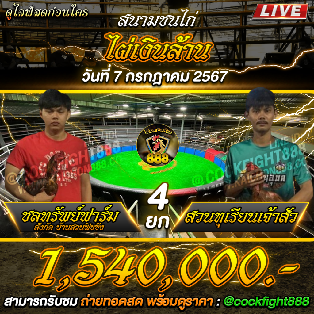 โปรแกรมไก่ชน สนามชนไก่ไผ่เงินล้าน วันที่ 07 ก.ค. 67