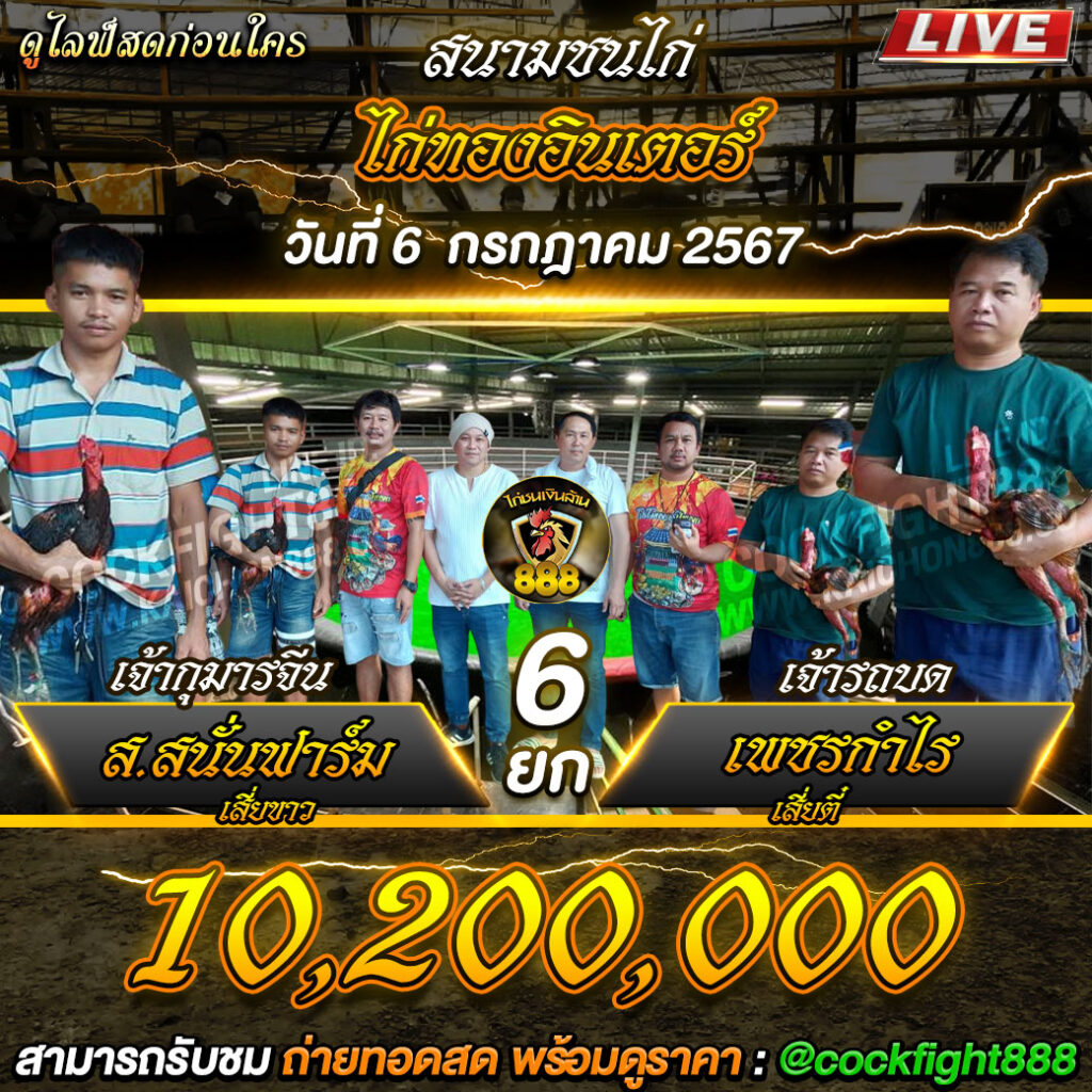 โปรแกรมไก่ชน สนามชนไก่ทองอินเตอร์ วันที่ 06 ก.ค. 67