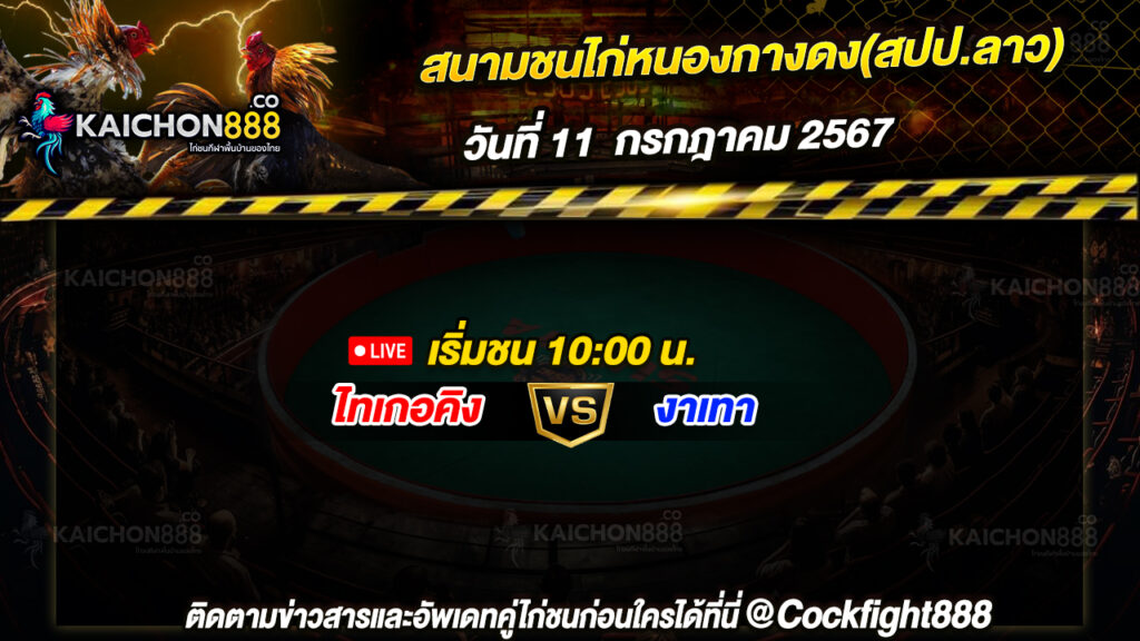 โปรแกรมไก่ชน สนามชนไก่หนองกางดง(สปป.ลาว) วันที่ 11 ก.ค. 67