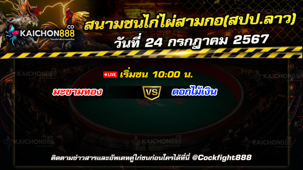 โปรแกรมไก่ชน สนามชนไก่ไผ่สามกอ(สปป.ลาว) วันที่ 24 ก.ค. 67