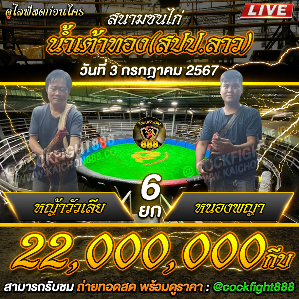 โปรแกรมไก่ชน สนามชนไก่น้ำเต้าทอง(สปป.ลาว) วันที่ 03 ก.ค. 67