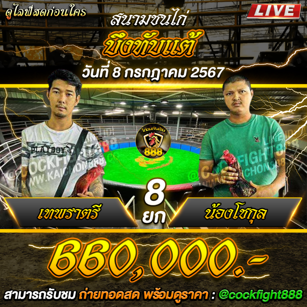 โปรแกรมไก่ชน สนามชนไก่บึงทับแต้ วันที่ 08 ก.ค. 67