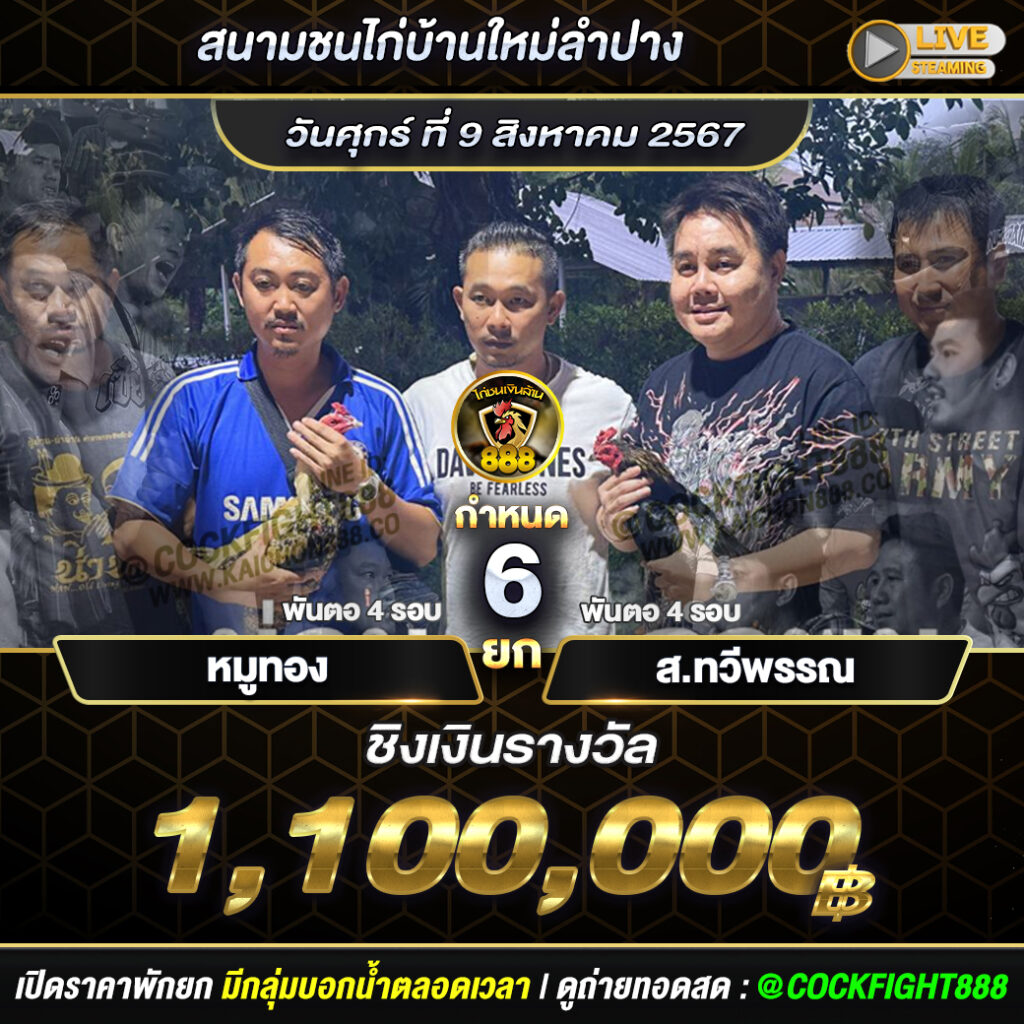 โปรแกรมไก่ชน สนามชนไก่บ้านใหม่ลำปาง วันที่ 9 ส.ค. 67