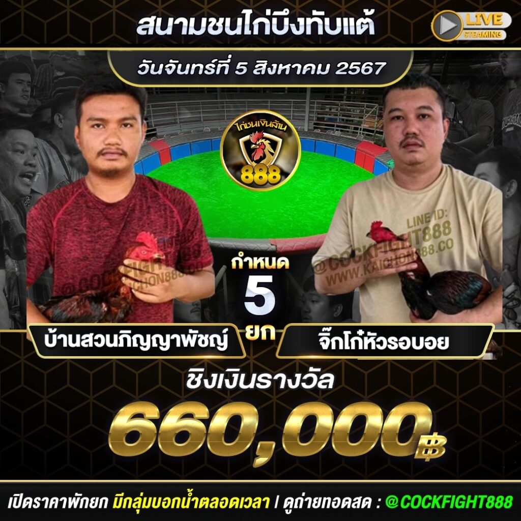 โปรแกรมไก่ชน สนามชนไก่บึงทับแต้ วันที่ 5 ส.ค. 67