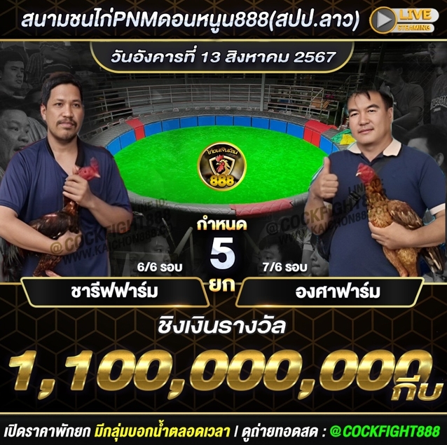 โปรแกรมไก่ชน สนามชนไก่PNMดอนหนูน888(สปป.ลาว) วันที่ 13 ส.ค. 67