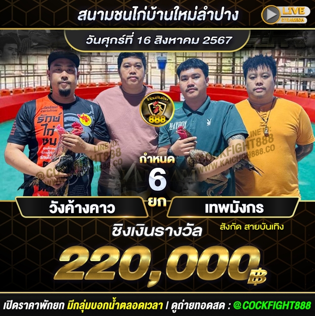 โปรแกรมไก่ชน สนามชนไก่บ้านใหม่ลำปาง วันที่ 16 ส.ค. 67