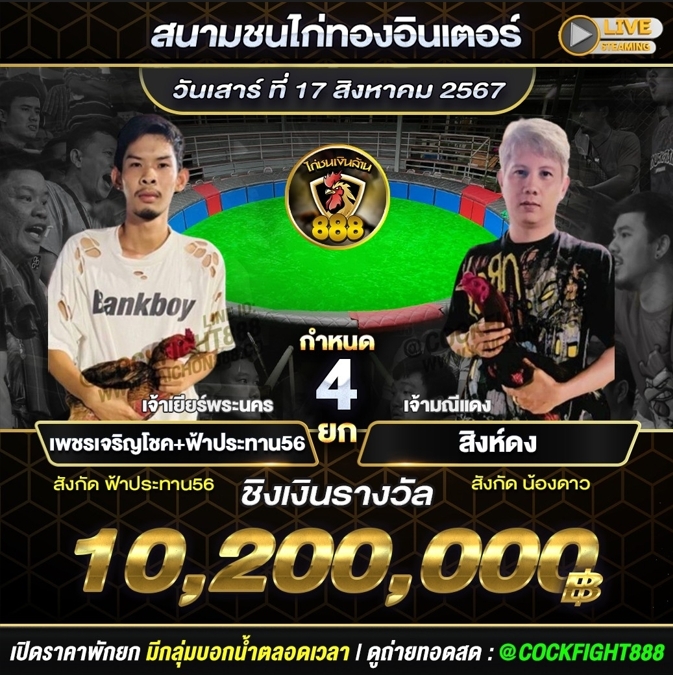 โปรแกรมไก่ชน สนามชนไก่ทองอินเตอร์ วันที่ 17 ส.ค. 67