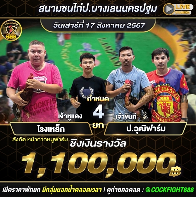 โปรแกรมไก่ชน สนามชนไก่ป.บางเลนนครปฐม วันที่ 17 ส.ค. 67