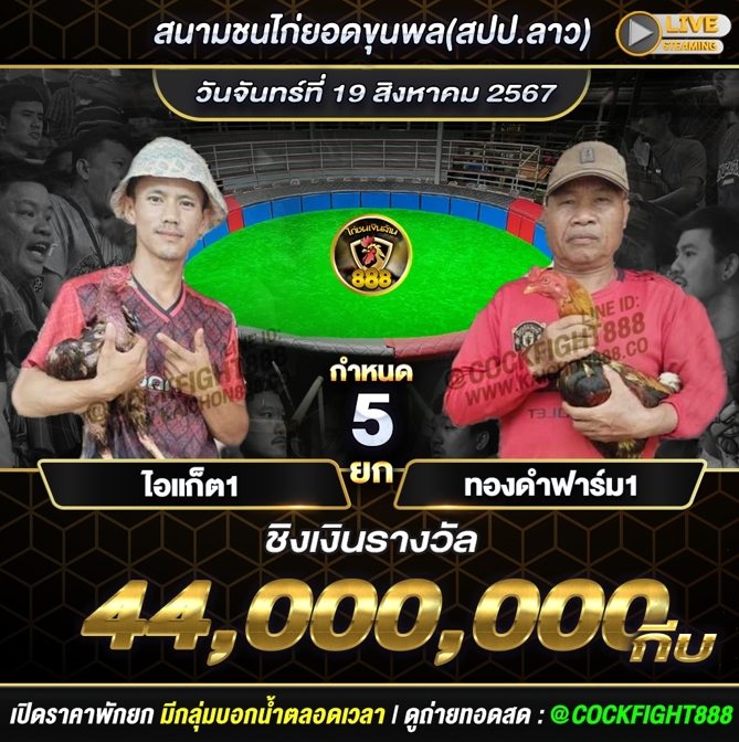 โปรแกรมไก่ชน สนามชนไก่ยอดขุนพล(สปป.ลาว) วันที่ 19 ส.ค. 67