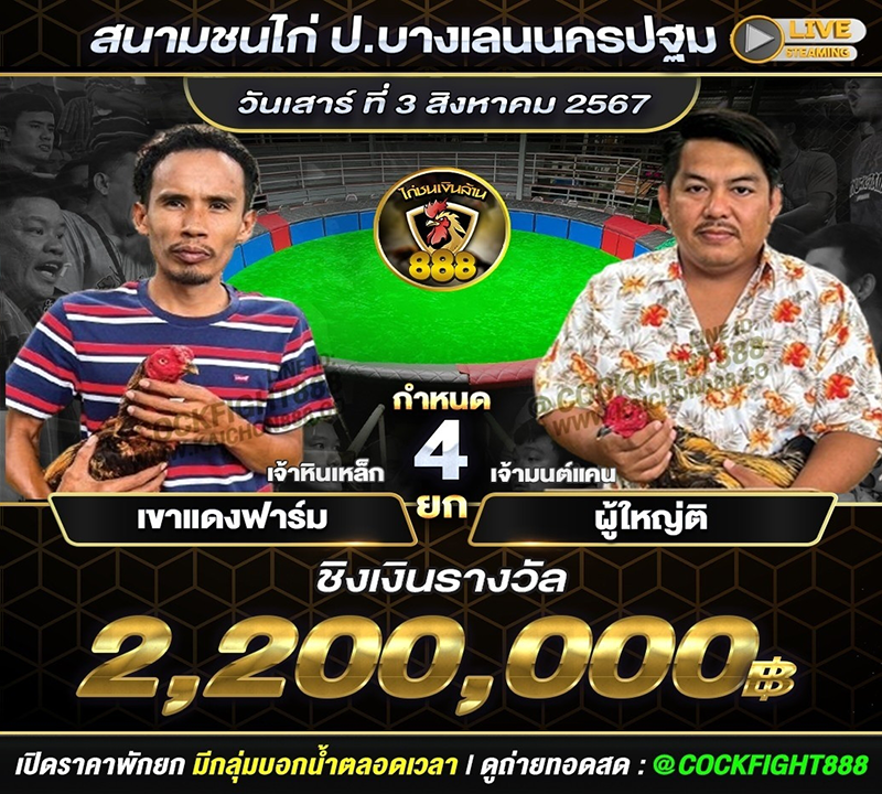 โปรแกรมไก่ชน สนามชนไก่ป.บางเลนนครปฐม วันที่ 3 ส.ค. 67