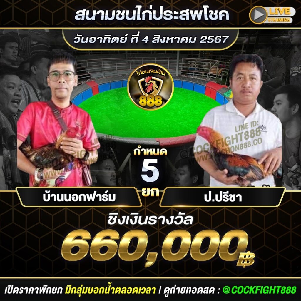 โปรแกรมไก่ชน สนามชนไก่ประสพโชค วันที่ 4 ส.ค. 67