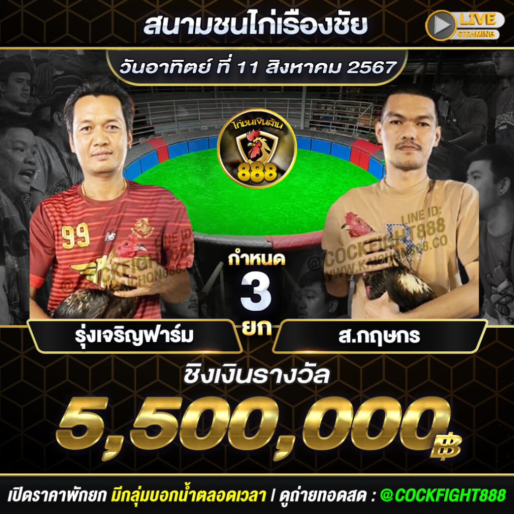 โปรแกรมไก่ชน สนามชนไก่เรืองชัย วันที่ 11 ส.ค. 67