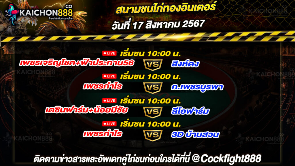 โปรแกรมไก่ชน สนามชนไก่ทองอินเตอร์ วันที่ 17 ส.ค. 67