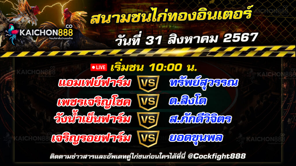 โปรแกรมไก่ชน สนามชนไก่ทองอินเตอร์ วันที่ 31 ส.ค. 67