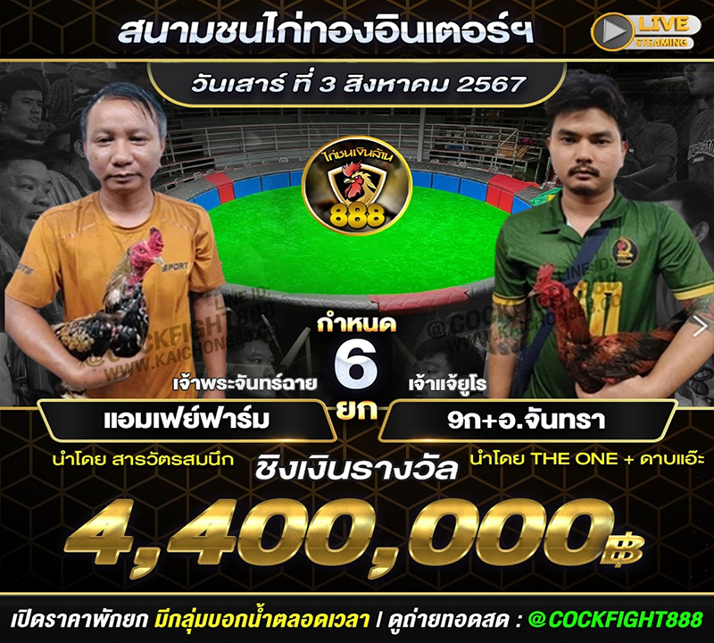 โปรแกรมไก่ชน สนามชนไก่เรือนไทยอินเตอร์ วันที่ 3 ส.ค. 67