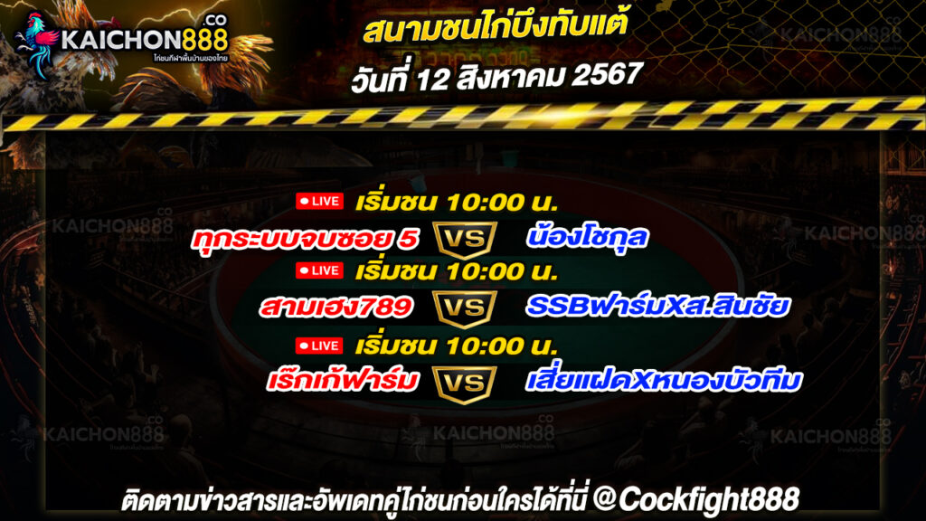 โปรแกรมไก่ชน สนามชนไก่บึงทับแต้ วันที่ 12 ส.ค. 67