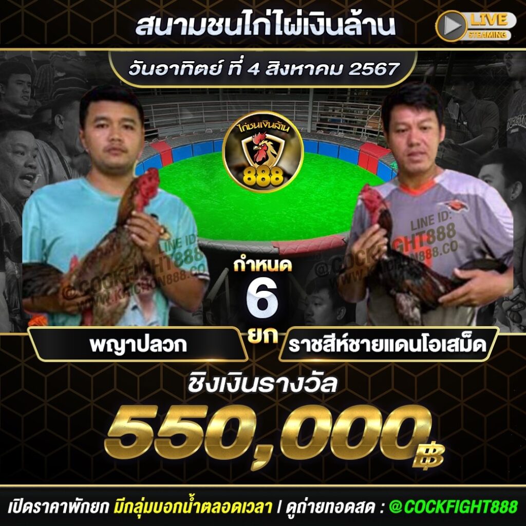 โปรแกรมไก่ชน สนามชนไก่ไผ่เงินล้าน วันที่ 4 ส.ค. 67