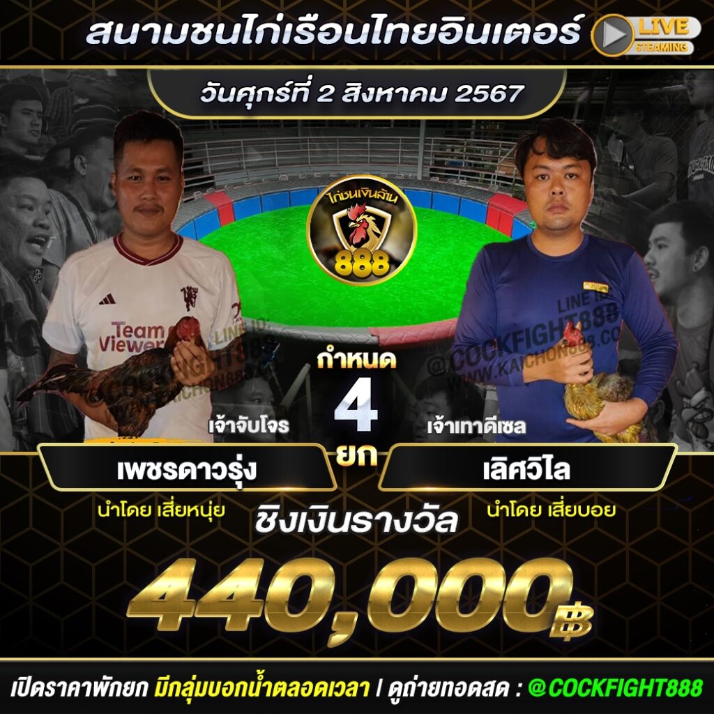 โปรแกรมไก่ชน สนามชนไก่เรือนไทยอินเตอร์ วันที่ 2 ส.ค. 67