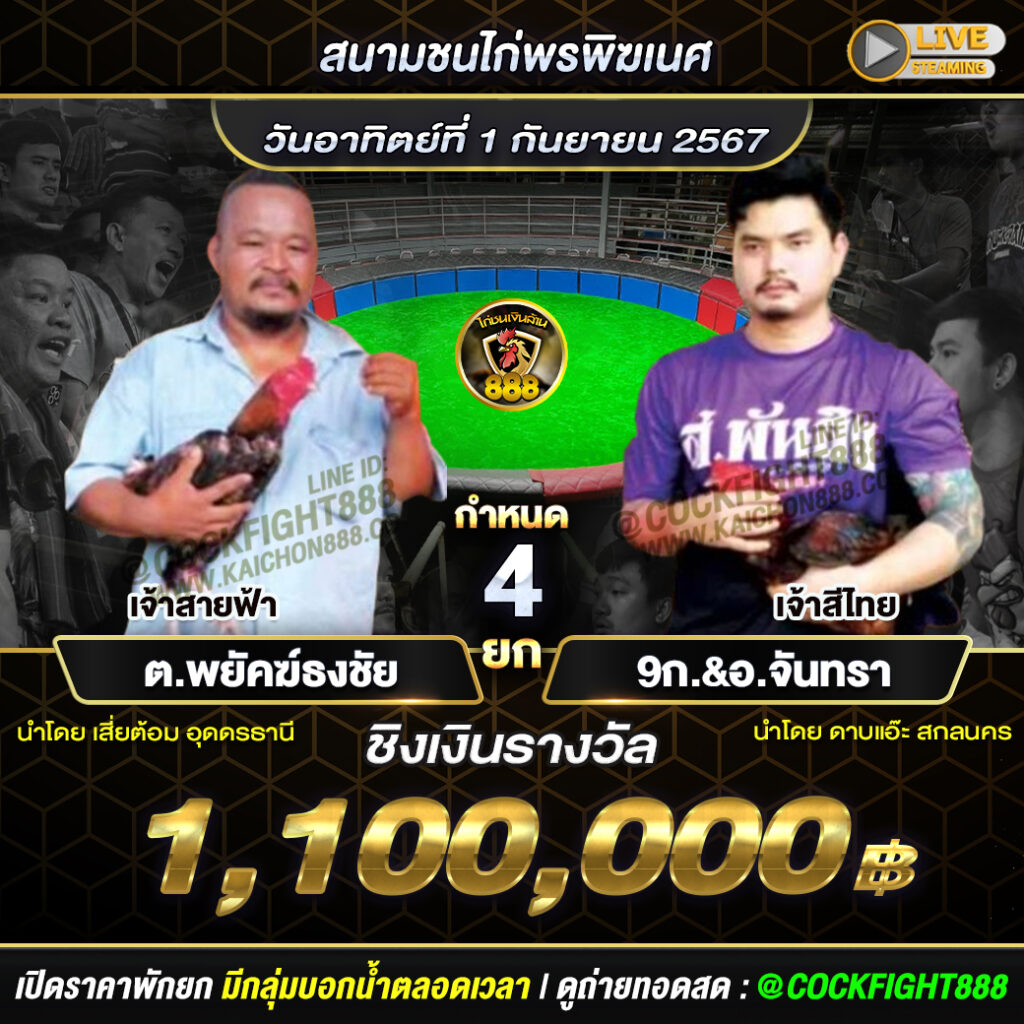 โปรแกรมไก่ชน สนามชนไก่พรพิฆเนศ วันที่ 01 ก.ย. 67