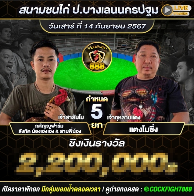 โปรแกรมไก่ชน สนามชนไก่ป.บางเลนนครปฐม วันที่ 14 ก.ย. 67