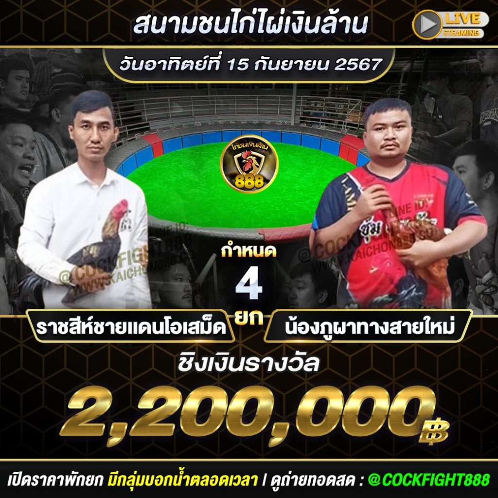 โปรแกรมไก่ชน สนามชนไก่ไผ่เงินล้าน วันที่ 15 ก.ย. 67