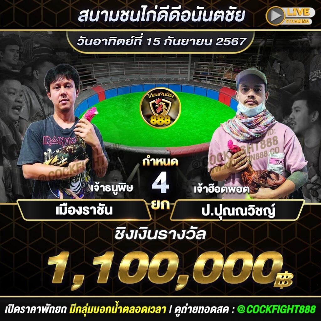 โปรแกรมไก่ชน สนามชนไก่ดีดีอนันตชัย วันที่ 15 ก.ย. 67