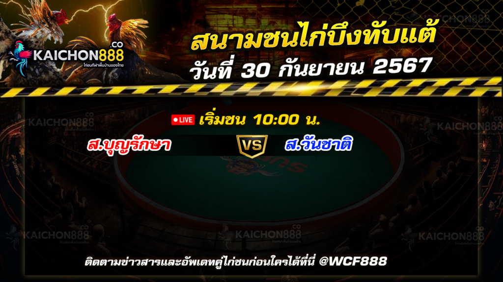 โปรแกรมไก่ชน สนามชนไก่บึงทับแต้ วันที่ 30 ก.ย. 67