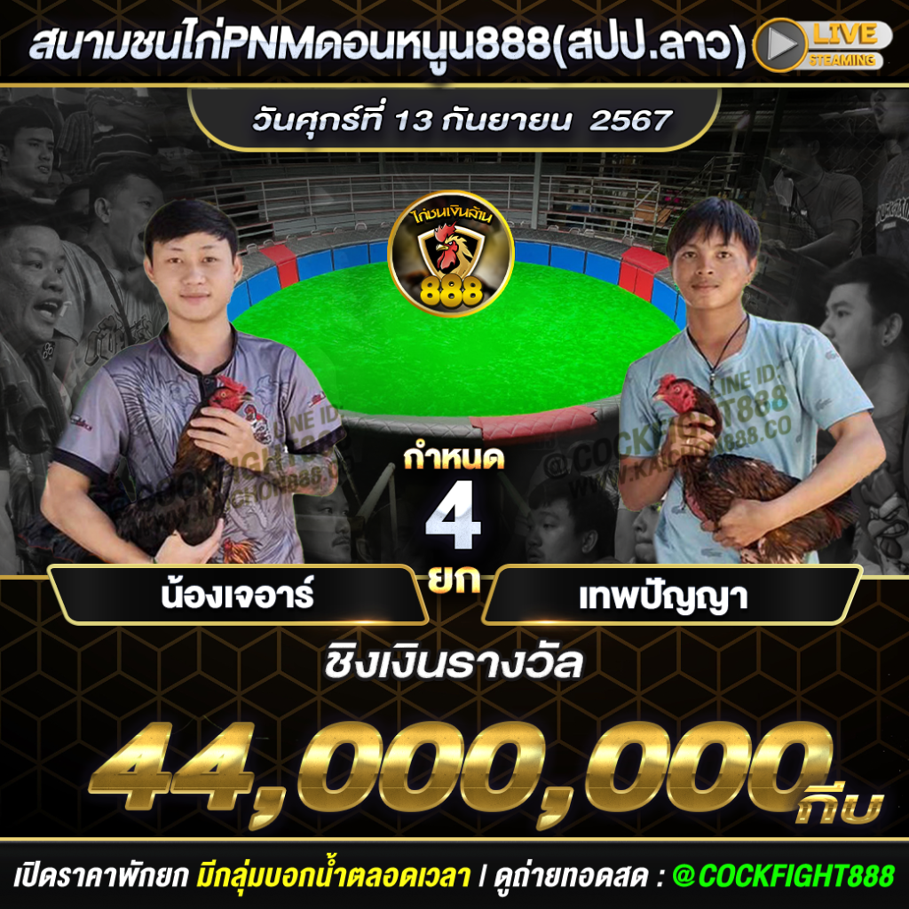 โปรแกรมไก่ชน สนามชนไก่PNMดอนหนูน888(สปป.ลาว) วันที่ 13 ก.ย. 67