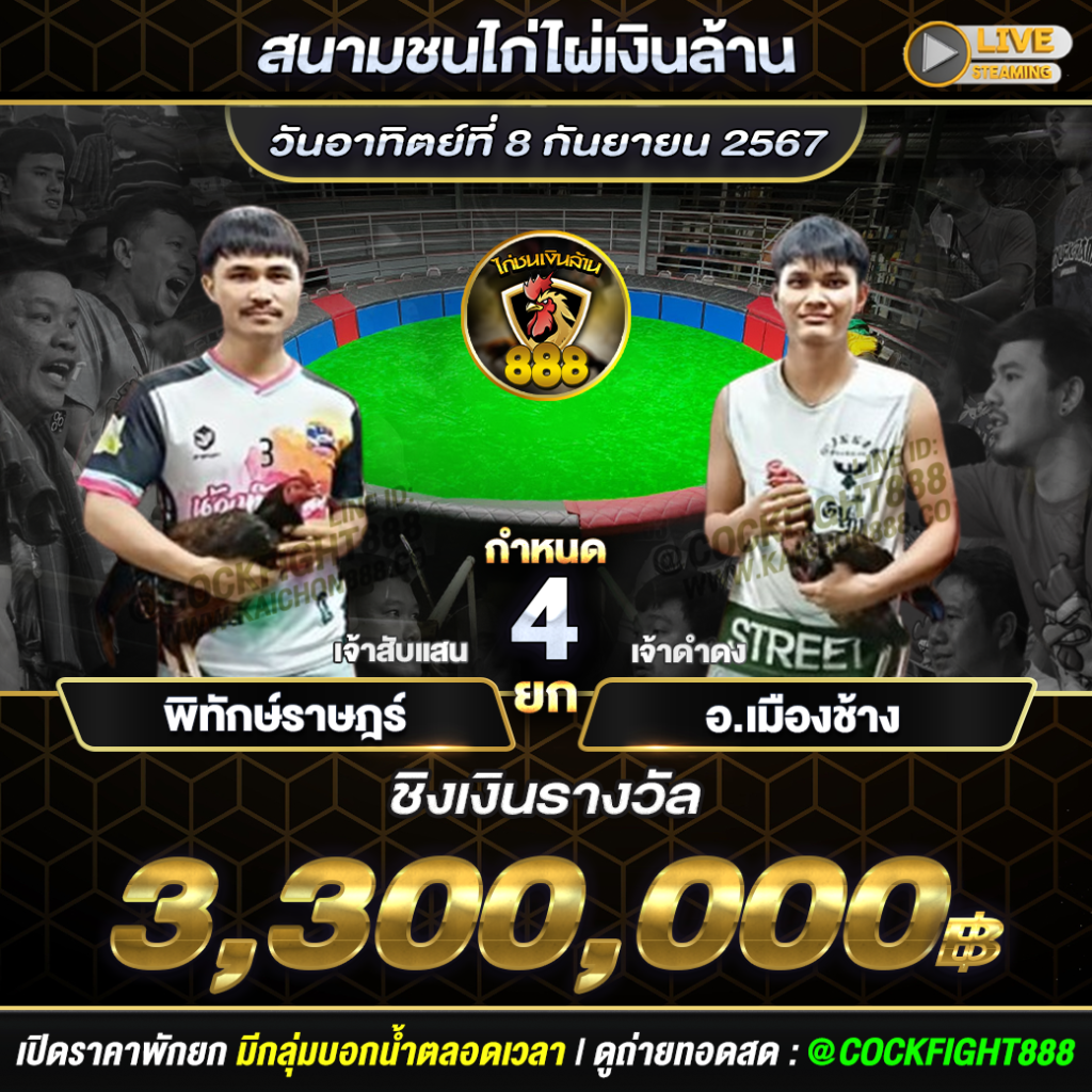 โปรแกรมไก่ชน  สนามชนไก่ไผ่เงินล้าน วันที่ 08 ก.ย. 67