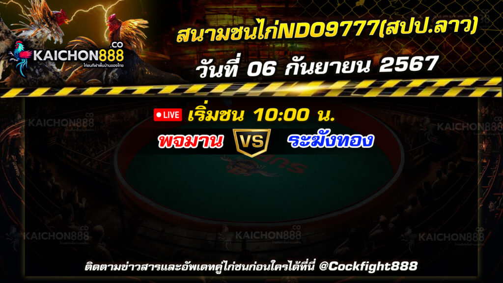 โปรแกรมไก่ชน  สนามชนไก่NDO9777(สปป.ลาว)  วันที่ 06 ก.ย. 67