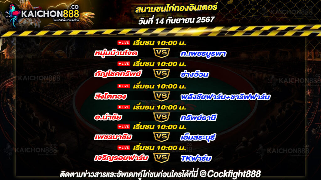 โปรแกรมไก่ชน สนามชนไก่ทองอินเตอร์ วันที่ 14 ก.ย. 67