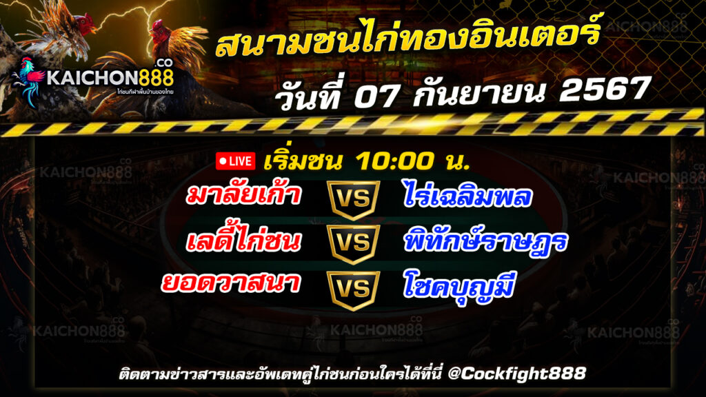 โปรแกรมไก่ชน  สนามชนไก่ทองอินเตอร์ วันที่ 07 ก.ย. 67