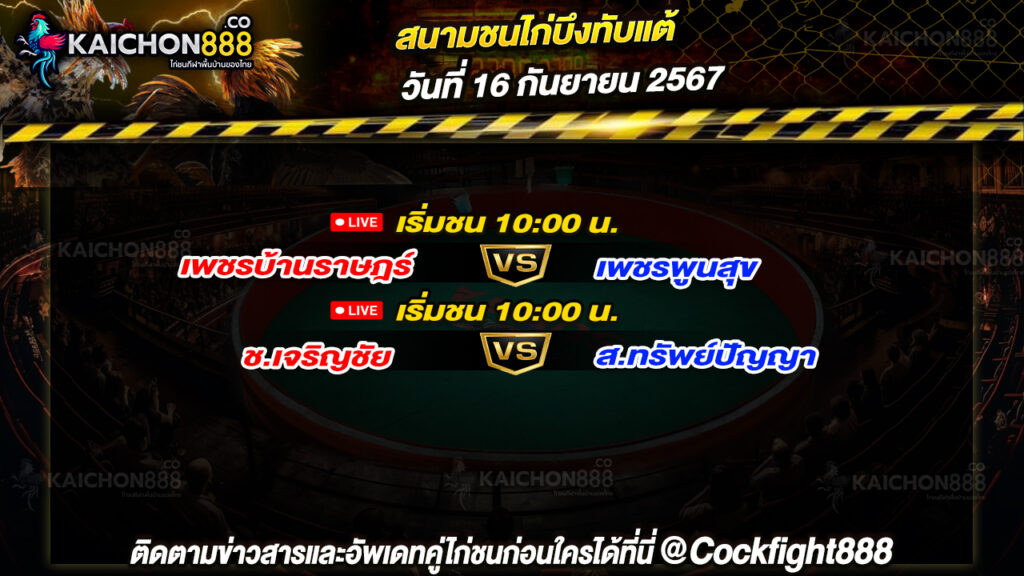 โปรแกรมไก่ชน สนามชนไก่บึงทับแต้ วันที่ 16 ก.ย. 67