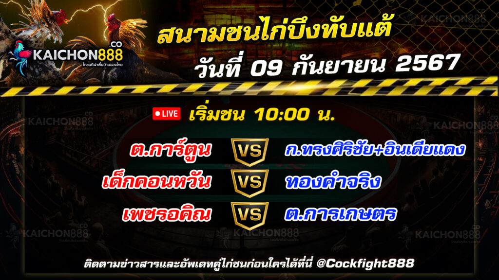 โปรแกรมไก่ชน  สนามชนไก่บึงทับแต้ วันที่ 09 ก.ย. 67