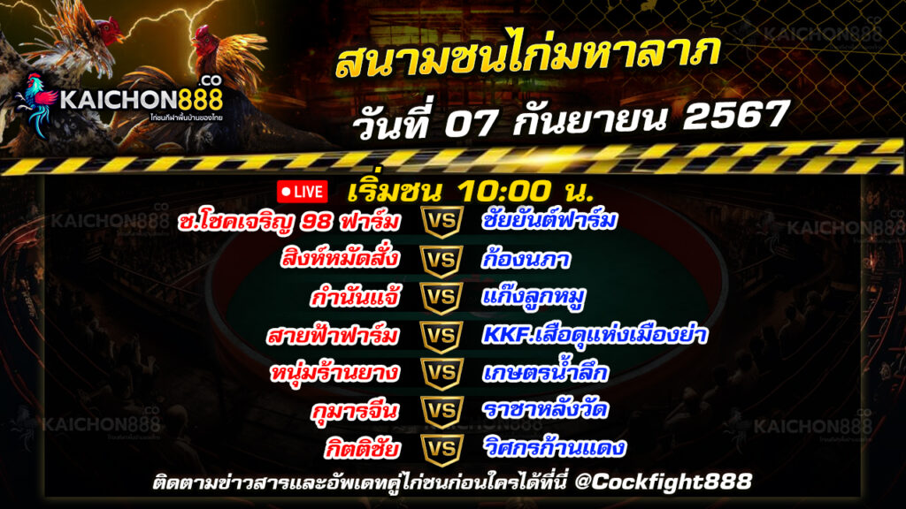 โปรแกรมไก่ชน  สนามชนไก่มหาลาภ วันที่ 07 ก.ย. 67