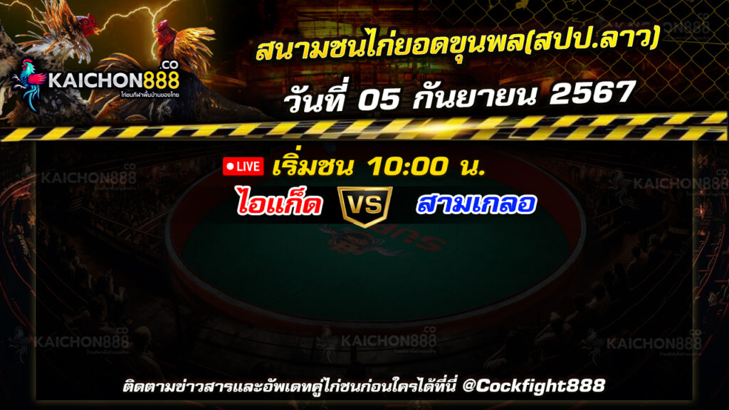 โปรแกรมไก่ชน  สนามชนไก่ยอดขุนพล(สปป.ลาว) วันที่ 05 ก.ย. 67