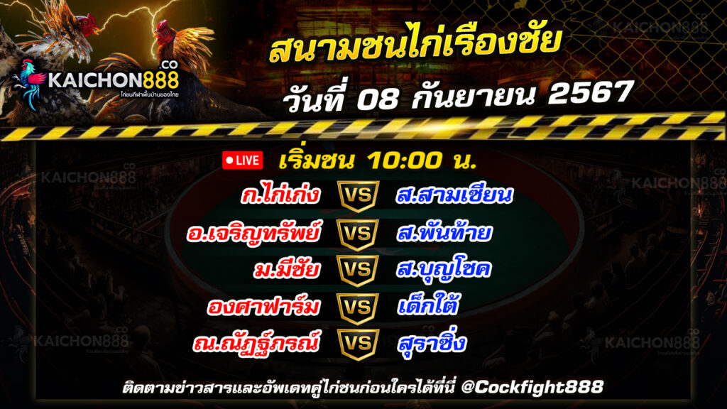 โปรแกรมไก่ชน  สนามชนไก่เรืองชัย วันที่ 08 ก.ย. 67