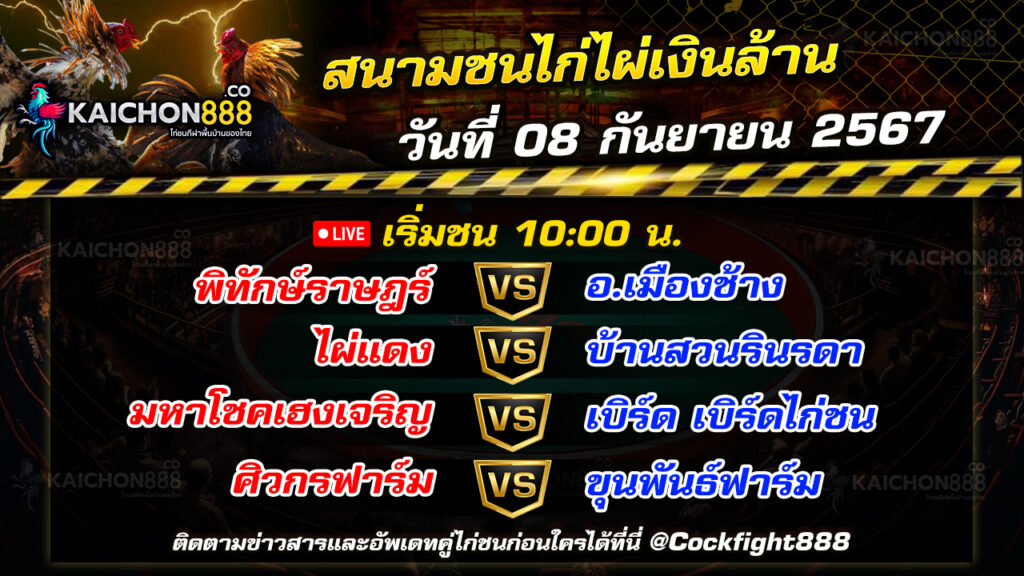 โปรแกรมไก่ชน  สนามชนไก่ไผ่เงินล้าน วันที่ 08 ก.ย. 67