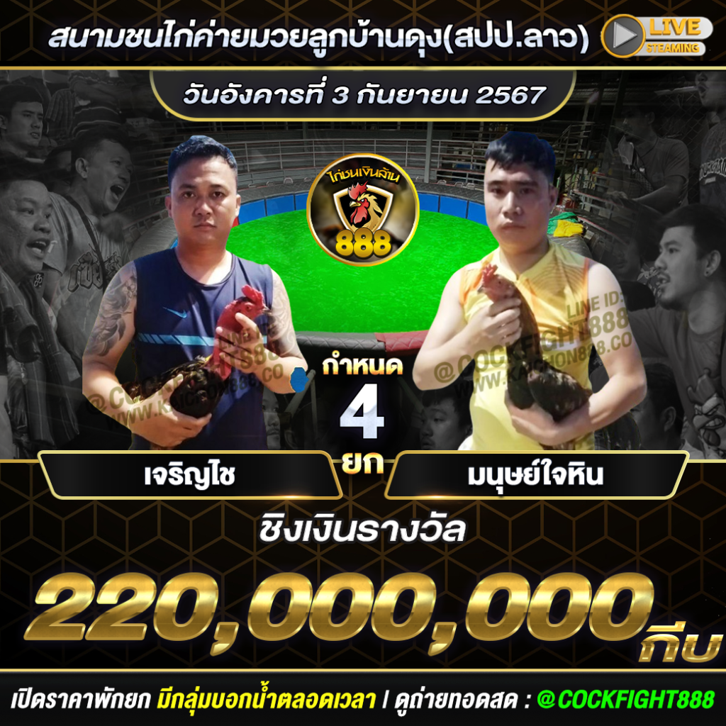 โปรแกรมไก่ชน  สนามชนไก่ค่ายมวยลูกบ้านดุง(สปป.ลาว)   วันที่ 03 ก.ย. 67